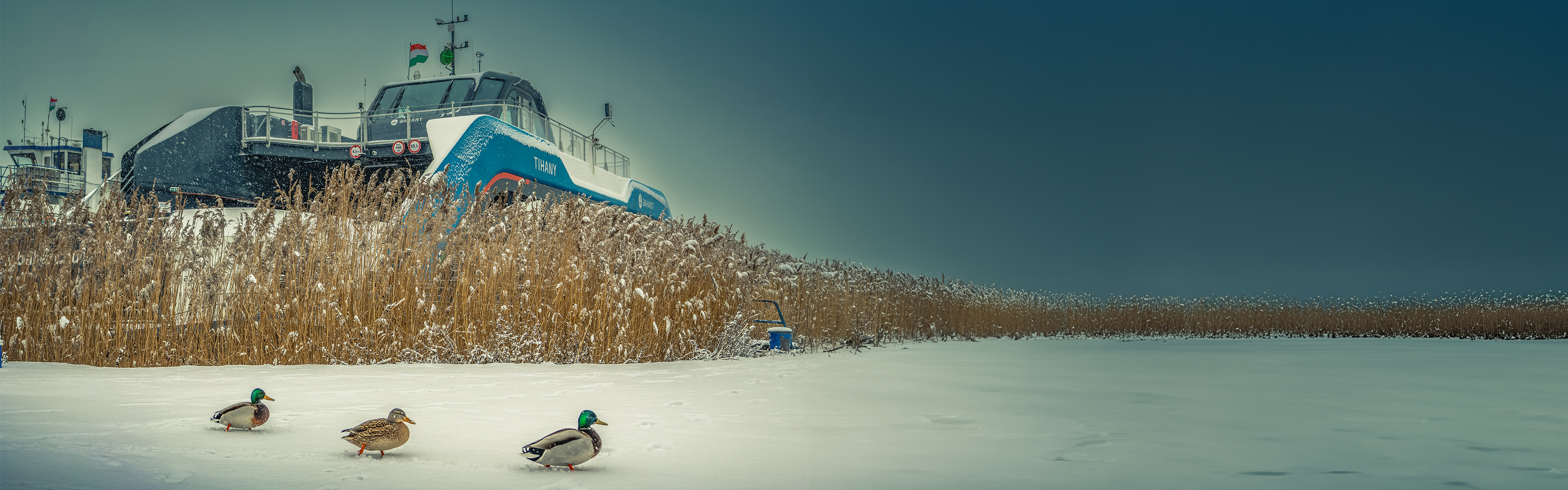 Havas komp a révben