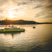 Kossuth Lajos komp naplementében