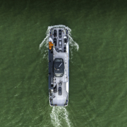 Tihany komp a Balatonon